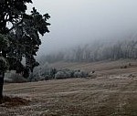 Súľovské vrchy