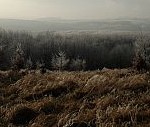 Pezinská Baba (Malé Karpaty)